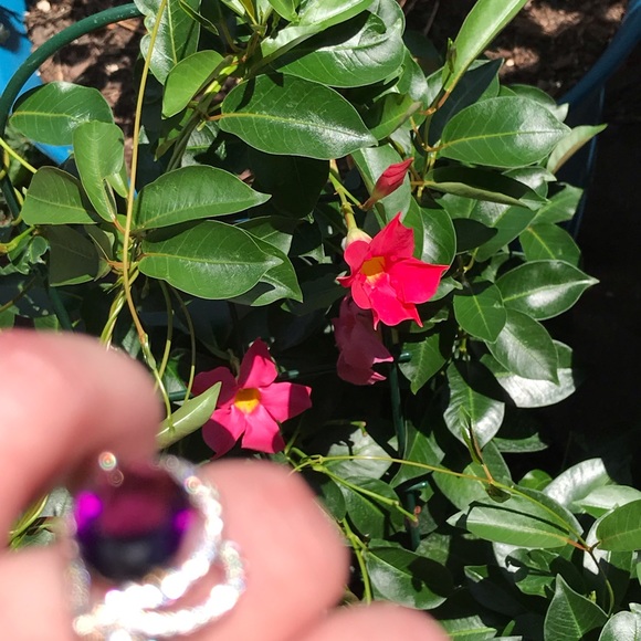 Amethyst and White Topaz ring - Picture 3 of 4